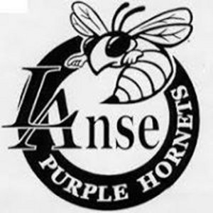 L'Anse Purple Hornets Logo