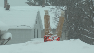 Legs In Snow Bank