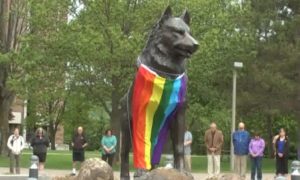 Husky Rainbow Flag