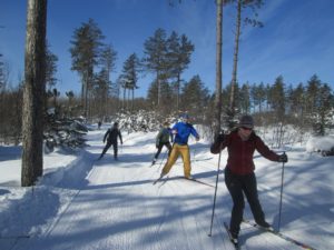 Skiers, Cross Country